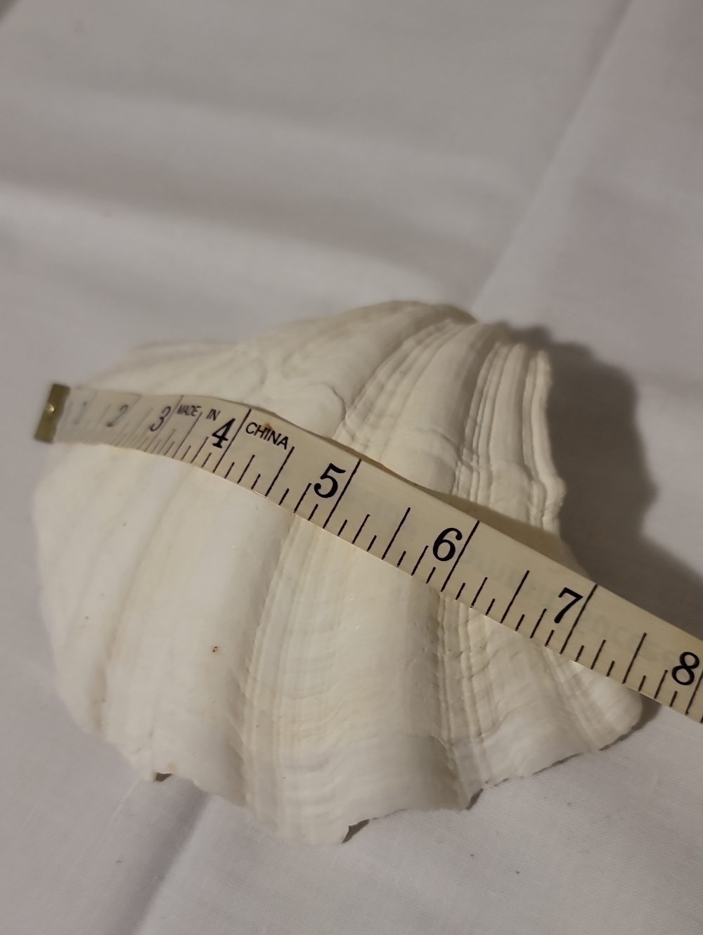 Handcrafted Trinket Shell - Picture 7 of 8